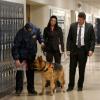 BONES: Booth (David Boreanaz, second from R), and Brennan (Emily Deschanel, R) use an FBI dog to track evidence in the "The Teacher in the Books" episode of BONES airing Thursday, April 2 (8:00-9:00 PM ET/PT) on FOX. Pictured ©2015 Fox Broadcasting Co. Cr: Patrick McElhenney/FOX