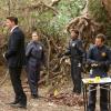 BONES:  The Jeffersonian team finds the remains of a popular TV celebrity chef in a local park in the "The Big Beef At The Royal Diner" episode of BONES airing Thursday, April 30 (8:00-9:00 PM ET/PT) on FOX. Pictured L-R: David Boreanaz, Emily Deschanel, Tamara Taylor and TJ Thyne. ©2015 Fox Broadcasting Co. Cr: Patrick McElhenney/FOX