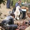 Bones-S12_Ep1202-sc4-PM_0185_hires1