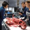 BONES:  L-R:  Cam (Tamara Taylor), Angela (Michaela Conlin) and Brennan (Emily Deschanel) examine the remains found on top of the canopy in Angela and Hodgins bedroom in the &quot;The Corpse in the Canopy&quot; episode of BONES airing Monday, Jan. 21 (8:00-9:00 PM ET/PT) on FOX.  &#xa9;2013 Fox Broadcasting Co.  CR:  Jordin Althaus/FOX