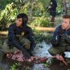 BONES: Cam (Tamara Taylor, L) and Hodgins (TJ Thyne, R) examine cryogenically frozen remains in the &quot;The Cold in the Case&quot; episode of BONES airing Friday, April 14 (8:00-9:00 PM ET/PT) on FOX. &#xa9;2014 Fox Broadcasting Co. Cr: Ray Mickshaw/FOX