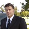 BONES:  When law enforcement calls upon Dr. Temperance Brennan (Emily Deschanel, L) and her team of scientists to assist with murder investigations, she often finds herself teamed up with Special Agent Seeley Booth (David Boreanaz, R) a former Army Ranger whose mistrust of science and scientists leads them to clash both professionally and personally, making them the perfect choice to solve the toughest cases together in the new one-hour drama BONES premiering on FOX.  ™©2005 FOX BROADCASTING COMPANY.  Cr:  Ron Eisenberg/FOX.