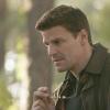 BONES:  Booth (David Boreanaz) goes to Washington State to investigate what appears to be a case of murder and cannibalism in the BONES episode "A Man in the Bear" airing Tuesday, Nov. 1 (8:00-9:00 PM ET/PT) on FOX.  ™©2005 Fox Broadcasting Co.  Cr:  Isabella Vosmikova/FOX.