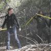 BONES:  Booth (David Boreanaz, R) and Brennan (Emily Deschanel, L) work with Forest Ranger Doug Edison (Terrell Clayton, C) while investigating the murder of a student in the BONES episode "The Headless Witch in the Woods" airing Wednesday, Nov. 29 (8:00-9:00 PM ET/PT) on FOX.  ©2006 Fox Broadcasting Co.  Cr:  Carin Baer/FOX