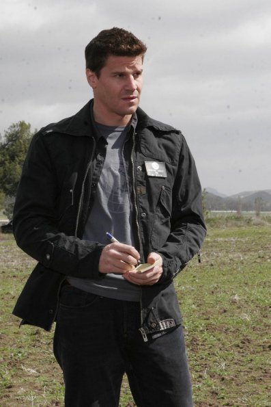 BONES: Booth (David Boreanaz) and Brennan investigate remains that have been found in an open field in the BONES episode "Spaceman in a Crater" airing Wednesday, May 2 (8:00-9:00 PM ET/PT) on FOX. BONES: Booth (David Boreanaz) and Brennan investigate remains that have been found in an open field in the BONES episode "Spaceman in a Crater" airing Wednesday, May 2 (8:00-9:00 PM ET/PT) on FOX.