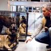 BONES: &quot;The Dog Whisperer&quot; Cesar Millan steps in to help Brennan and Booth when they discover a dog-fighting ring may be connected to the death of a veterinarian in the BONES episode &quot;The Finger in the Nest&quot; airing Wednesday, Sept. 17 (8:00-9:00 PM ET/PT) on FOX.  &copy;2008 Fox Broadcasting Co.  Cr:  Mark Lipson/FOX