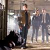 BONES:  &quot;The Dog Whisperer&quot; Cesar Millan (L) steps in to help Brennan (Emily Deschanel, C) and Booth (David Boreanaz, R) when they discover a dog-fighting ring may be connected to the death of a veterinarian in the BONES episode &quot;The Finger in the Nest&quot; airing Wednesday, Sept. 17 (8:00-9:00 PM ET/PT) on FOX.  &copy;2008 Fox Broadcasting Co.  Cr:  Mark Lipson/FOX