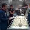 BONES:  The Jeffersonian team (L-R:  TJ Thyne, Tamara Taylor, guest star Ryan Cartwright and Emily Deschanel) examines the remains of a severed body found in the Chesapeake Bay in the BONES episode &quot;The He in the She&quot; airing Wednesday, Oct. 8 (8:00-9:00 PM ET/PT) on FOX.  &copy;2008 Fox Broadcasting Co.  Cr:  FOX