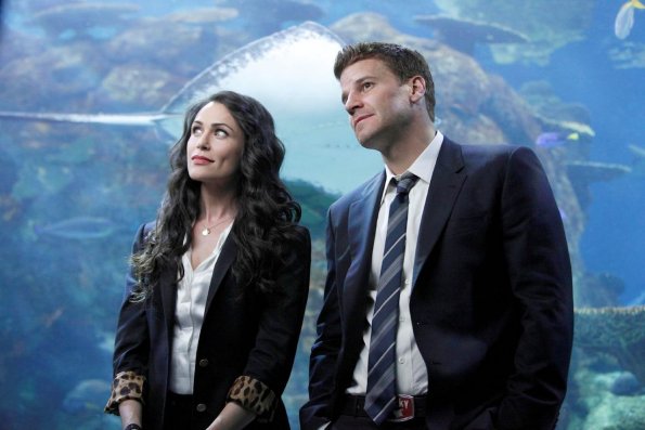 BONES: Booth (David Boreanaz, R) and marine biologist Dr. Catherine Bryar (guest star Rena Sofer, L) discuss the case of an inspirational speaker whose remains are found in a shark tank in the BONES episode "The Predator in the Pool" airing Thursday, April 22 (8:00-9:00 PM ET/PT) on FOX. ©2010 Fox Broadcasting Co. Cr: Greg Gayne/FOX BONES: Booth (David Boreanaz, R) and marine biologist Dr. Catherine Bryar (guest star Rena Sofer, L) discuss the case of an inspirational speaker whose remains are found in a shark tank in the BONES episode "The Predator in the Pool" airing Thursday, April 22 (8:00-9:00 PM ET/PT) on FOX. ©2010 Fox Broadcasting Co. Cr: Greg Gayne/FOX