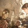BONES:  Brennan (Emily Deschanel) investigates the remains of a couple found in a cave at a national park in the BONES episode &quot;The Couple in the Cave&quot; airing Thursday, Sept. 30 (8:00-9:00 PM ET/PT) on FOX.  &#xa9;2010 Fox Broadcasting Co.  Cr:  Adam Taylor/FOX