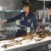 BONES:  Brennan (Emily Deschanel, L) and Jeffersonian &quot;squintern&quot; Vincent Nigel-Murray (Ryan Cartwright, R) investigate human remains found in the world's largest chocolate bar in &quot;The Babe In The Bar&quot; episode of BONES airing Thursday, Nov. 18 (8:00-9:00 PM ET/PT) on FOX.  &#xa9;2010 Fox Broadcasting Co.  Cr:  Michael Yarish/FOX