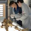 BONES:  Brennan (Emily Deschanel, L) and Jeffersonian &quot;squintern&quot; Vincent Nigel-Murray (Ryan Cartwright, R) investigate human remains found in the world's largest chocolate bar in &quot;The Babe In The Bar&quot; episode of BONES airing Thursday, Nov. 18 (8:00-9:00 PM ET/PT) on FOX.  &#xa9;2010 Fox Broadcasting Co.  Cr:  Michael Yarish/FOX