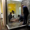 BONES:  Brennan (Emily Deschanel, L), Booth (David Boreanaz, R) and Cam (Tamara Taylor, C) are called in to identify a body discovered in the shower of an upscale home in "The Body in the Bag" episode of BONES airing Thursday, Jan. 20 (9:00-10:00 PM ET/PT) on FOX.  ©2011 Fox Broadcasting Co.  Cr:  Richard Foreman/FOX