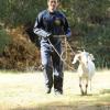 BONES:  Hodgins (TJ Thyne) finds a goat in the woods near the remains of a murder victim in &quot;The Truth in the Myth&quot; episode of BONES airing Thursday, April 14 (9:00-10:00 PM ET/PT) on FOX.  &#xa9;2011 Fox Broadcasting Co.  Cr:  Ray Mickshaw/FOX