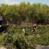 BONES:  Brennan (Emily Deschanel, R) and Booth (David Boreanaz, L) travel to the Florida everglades to investigate a case in the &quot;Finder&quot; episode of BONES airing Thursday, April 21 (9:00-10:00 PM ET/PT) on FOX.  &#xa9;2011 Fox Broadcasting Co.  Cr:  Glenn Watson/FOX