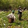 BONES:  Brennan (Emily Deschanel) travels to the Florida everglades to investigate a case in the &quot;Finder&quot; episode of BONES airing Thursday, April 21 (9:00-10:00 PM ET/PT) on FOX.  &#xa9;2011 Fox Broadcasting Co.  Cr:  Glenn Watson/FOX