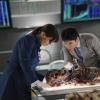BONES:  Brennan (Emily Deschanel, L) and Jeffersonian intern Vincent Nigel-Murray (Ryan Cartwright, R) examine the remains of the latest victim of sniper-on-the-loose Jacob Broadsky in &quot;The Hole in the Heart&quot; episode of BONES airing Thursday, May 12 (9:00-10:00 PM ET/PT) on FOX.  &#xa9;2011 Fox Broadcasting Co.  Cr:  Michael Becker/FOX