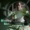 wallpaper_making.that.cash