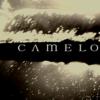 camelot