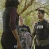 CRIMINAL MINDS