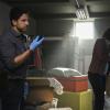 "Believer" -- When Reid discovers former FBI Special Agent Owen Quinn (James Urbaniak) locked inside a storage unit, the BAU questions the credibility of Quinn\'s bizarre accounts of searching for an UnSub that he named "The Strangler," on the second episode of the double-episode 13th season finale cliffhanger of CRIMINAL MINDS, Wednesday, April 18 (10:00-11:00 PM, ET/PT) on the CBS Television Network.  Pictured: Adam Rodriguez (Luke Alvez)   Photo: Michael Yarish/CBS ÃÂ©2018 CBS Broadcasting, Inc. All Rights Reserved