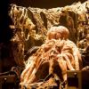 Doctor Who - 50 Years of the Daleks in Photos (9)