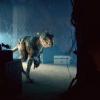 2233900-doctor-who-series-7