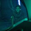 Journey to the Centre of the Tardis
