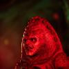 INVERSION OF THE ZYGONS (By Peter Harness and Steven Moffat)