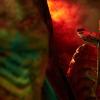 INVERSION OF THE ZYGONS (By Peter Harness and Steven Moffat)