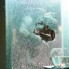 391055-doctor-who-1-