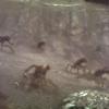 falling skies season 3 teaser-03