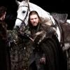 ned-horse