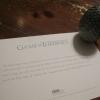 IMG_4019[1]