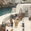 "Game of Thrones"