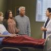 JOEY LUTHMAN, JULIE DRETZIN, MICHAEL MILILLO, SANDRA OH, JUSTIN CHAMBERS