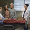 JOEY LUTHMAN, JULIE DRETZIN, MICHAEL MILILLO, SANDRA OH, JUSTIN CHAMBERS