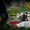show_0042_grimm