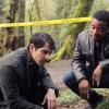 grimm_nbc-784-590-700-80