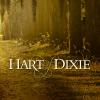 hart-of-dixie