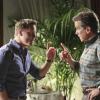 HART OF DIXIE