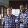 HART OF DIXIE