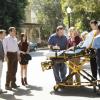 HART OF DIXIE