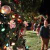 HART OF DIXIE