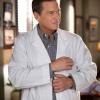 HART OF DIXIE