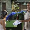 HART OF DIXIE