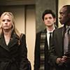 HOUSE OF LIES