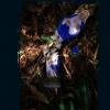 lost_card_marysta_m