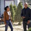 "Joyride" -- Pictured: Marsha Thomason ((NCIS Special Agent Nicole DeChamps) and LL COOL J (Special Agent Sam Hanna). The NCIS team is joined by NCIS Special Agent Nicole DeChamps (Marsha Thomason) after a Marine reservist with a history of PTSD disappears following a drunk and disorderly altercation, on NCIS: LOS ANGELES, Sunday, Dec. 16 (9:30-10:30 PM, ET/9:00-10:00 PM, PT) on the CBS Television Network. Photo: Monty Brinton/CBS ÃÂ©2018 CBS Broadcasting, Inc. All Rights Reserved.