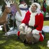 "Cancel Christmas" -- Pictured: Eric Christian Olsen (LAPD Liaison Marty Deeks). When a suspected North Korean spy is poisoned and hit by a truck carrying Christmas trees, the team must search for who is responsible for smuggling spies into the country. Also, Deeks and Kensi try to find a way include their mothers in their Christmas plans, and Hetty notices that Granger isn\'t feeling the holiday cheer. Photo: Neil Jacobs/CBS ÃÂ©2015 CBS Broadcasting, Inc. All Rights Reserved.